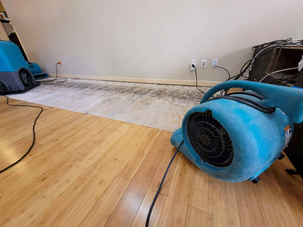 Professional Structural Drying technician working in Orwigsburg, PA